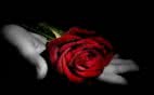 Because you love  me