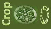 Crop Circles