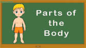 Different parts of the body 