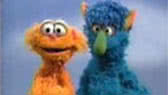 Different & the same (Sesame Street)