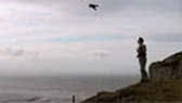 Flying with the fastest birds on the planet: animal camera BBC