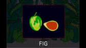 Fruit