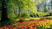 Gardens of the World with Audrey Hepburn