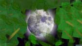 Hide and go seek with the moon