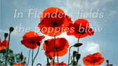 In Flanders Fields -poem