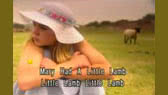 Mary had a little lamb