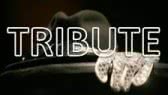 Michael Jackson - Tribute