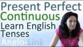 Present Continuous / Present Perfect Continuous