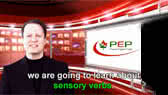 Sensory verbs