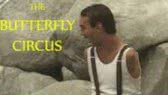 The Butterfly Circus