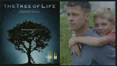 The Tree Of  Life