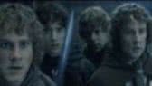 The fellowship of the vuvucela
