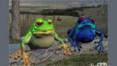 The frogs song
