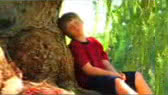 The giving tree