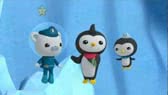 The great penguin race