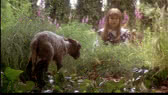 The secret garden