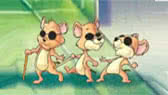 Three blind mice